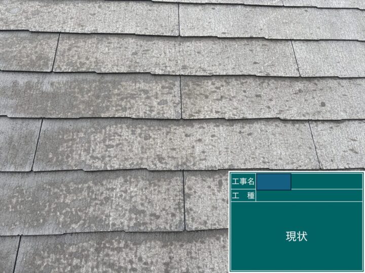 屋根塗装・補修